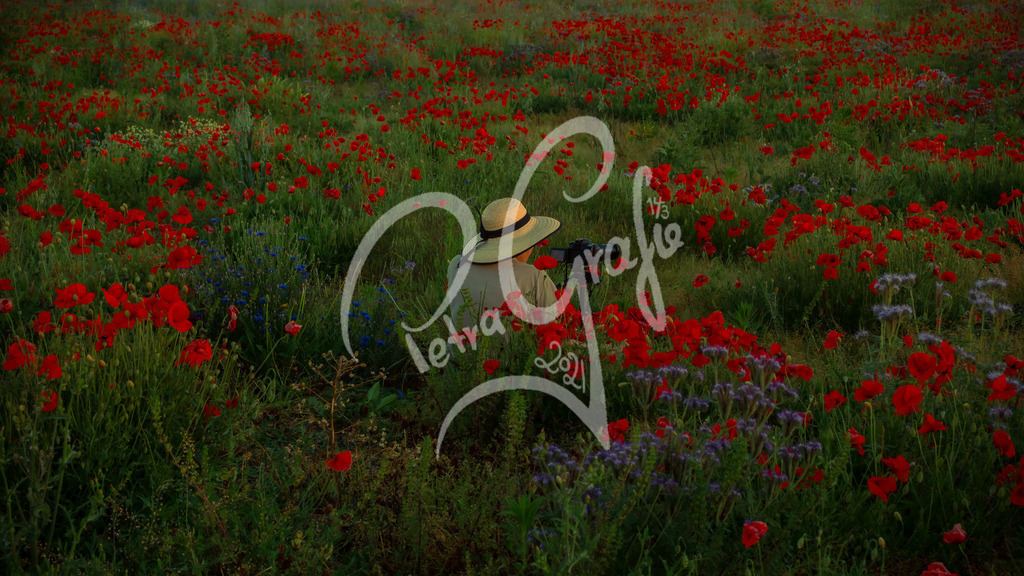 06-PEG_4481-Steffi | petragrafie - Realisiert mit Pictrs.com