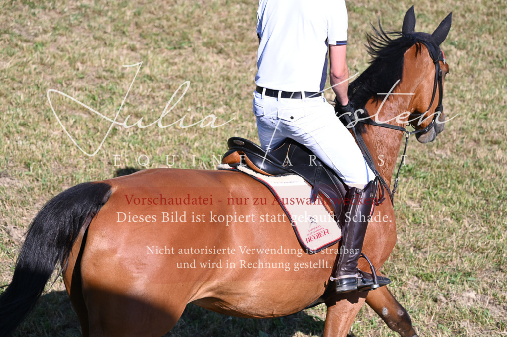 DSC_1936 | Pferde- und Turnierfotografie in Westsachsen. Pferdeportraits, Auftragszeichnungen und intuitive Kunst.