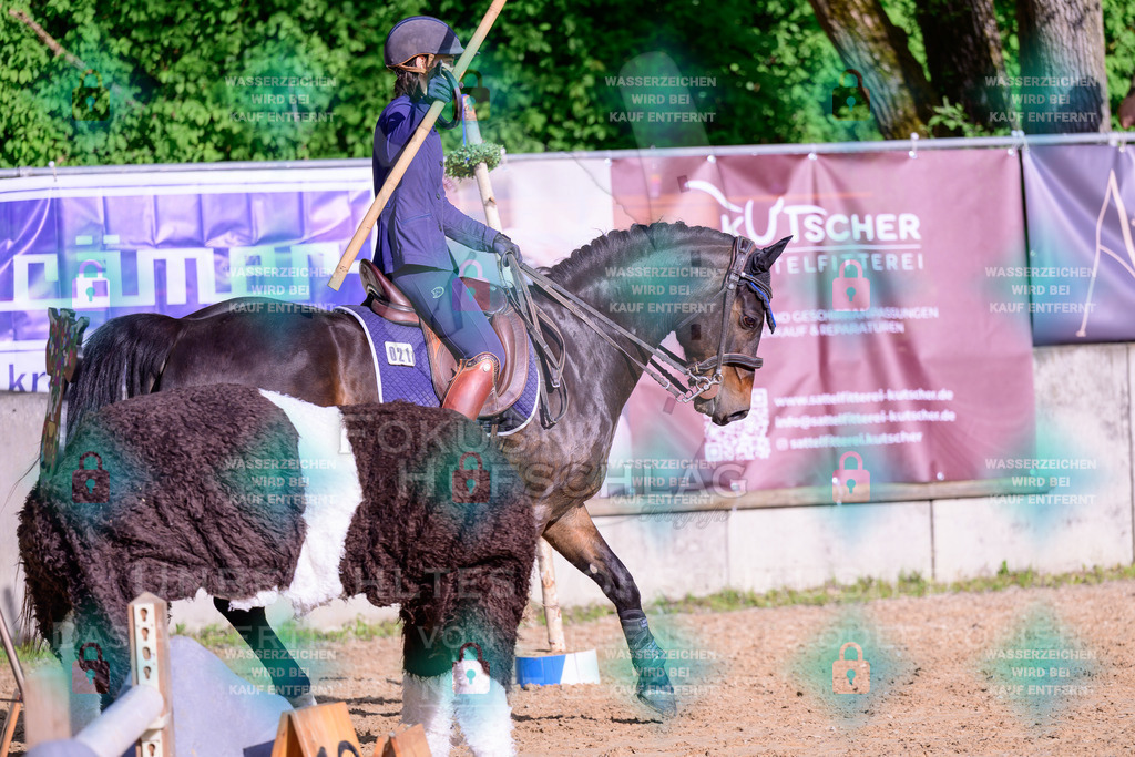 02052026-Giesenbach-03-Speedtrail-0049 | Fokus Hufschlag Fotografie - Realisiert mit Pictrs.com