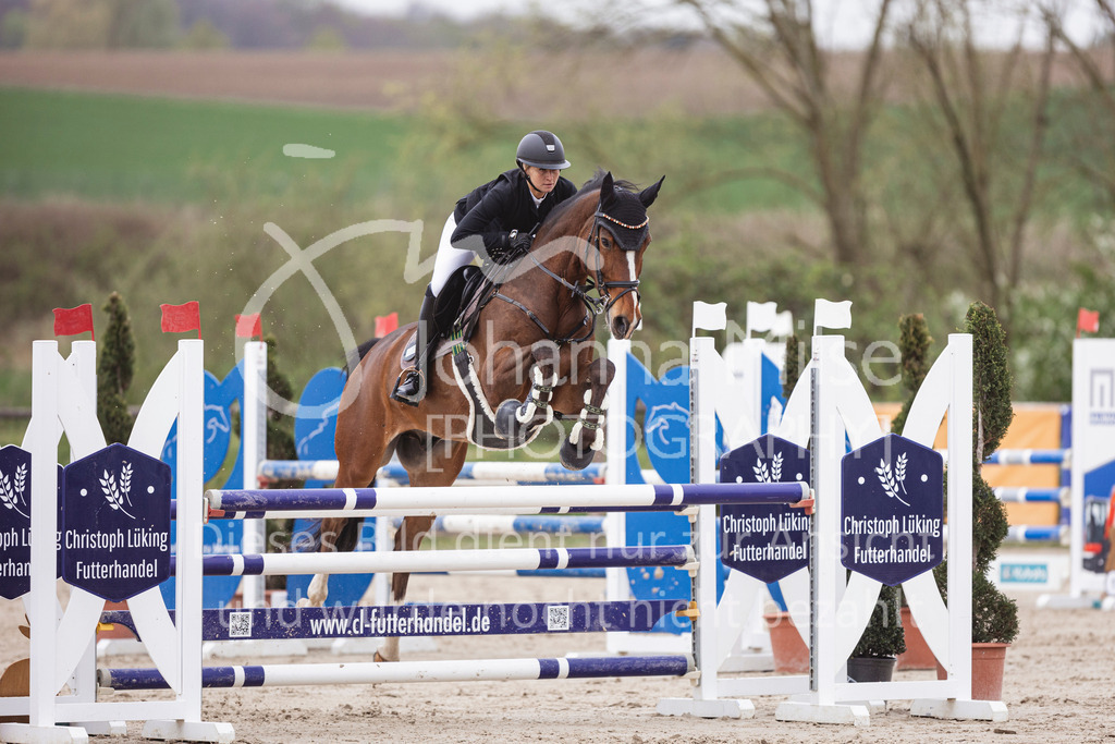 250417_Springpferde-L2-327 | Deine schönsten Turniermomente als professionelle Fotos! Entdecke hochwertige Pferdesport-Fotografie im Online-Shop. Jetzt Fotos finden & bestellen!