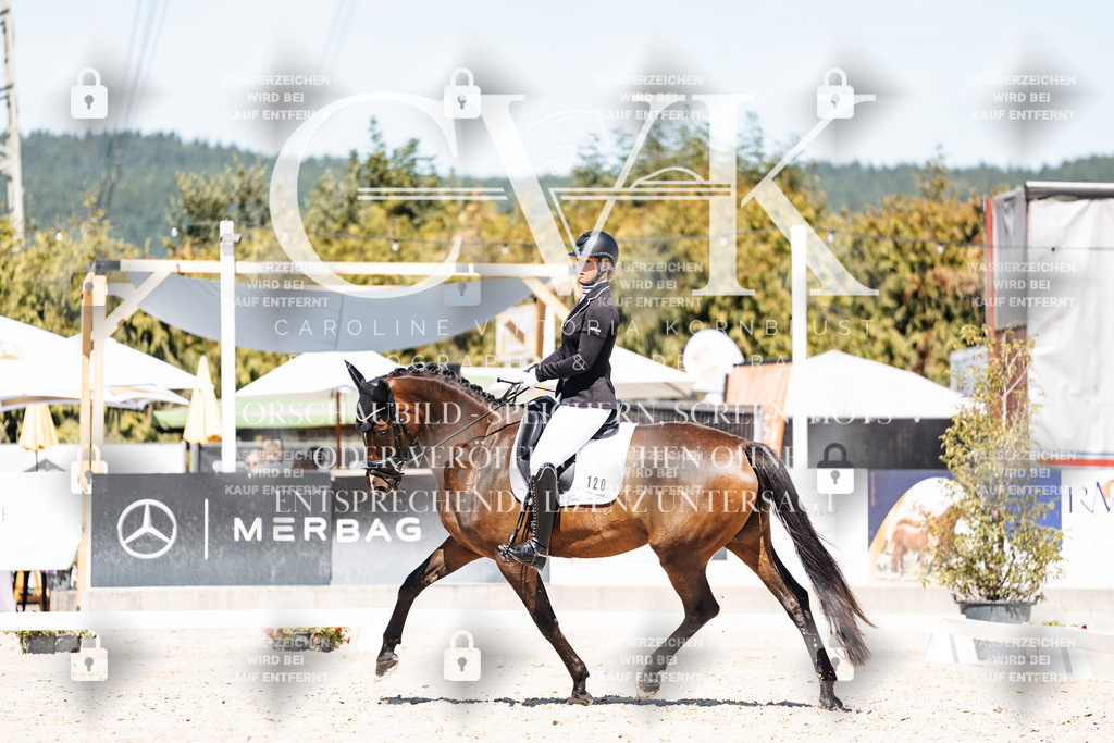 CK909840 | Turnierfotografie Pferdefotografie Trier Rheinland-Pfalz Pferdesport Reitsport Tierfotografie Sportfotografie Pferdevideo Pferdevideografie Equestrianvideography equestrianphotography  - Realisiert mit Pictrs.com