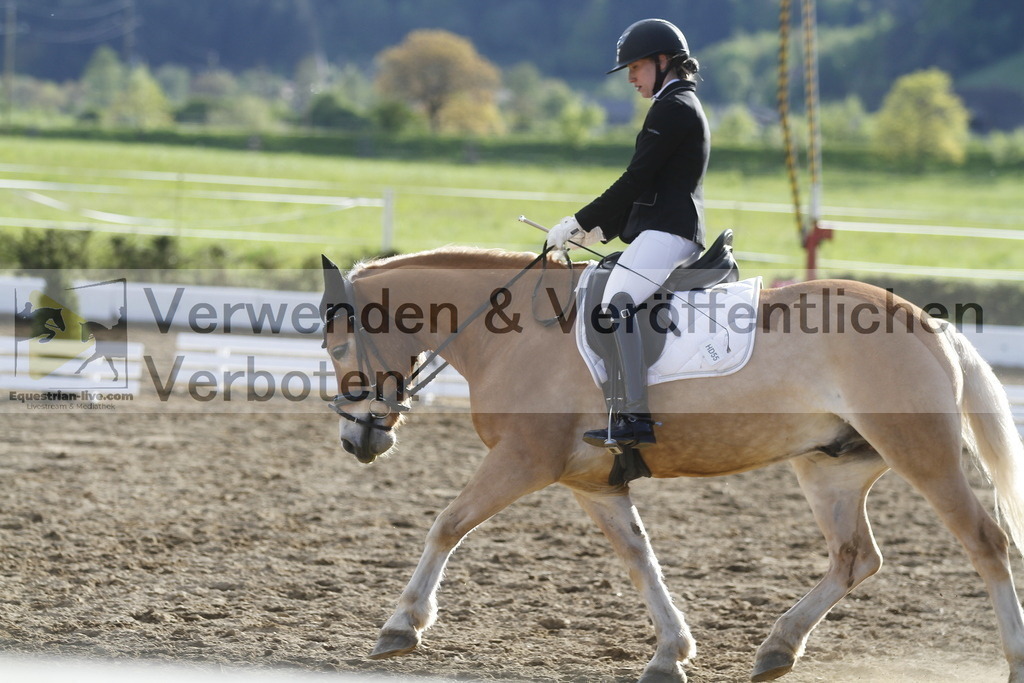 _MG_4315 | equestrian-live-com