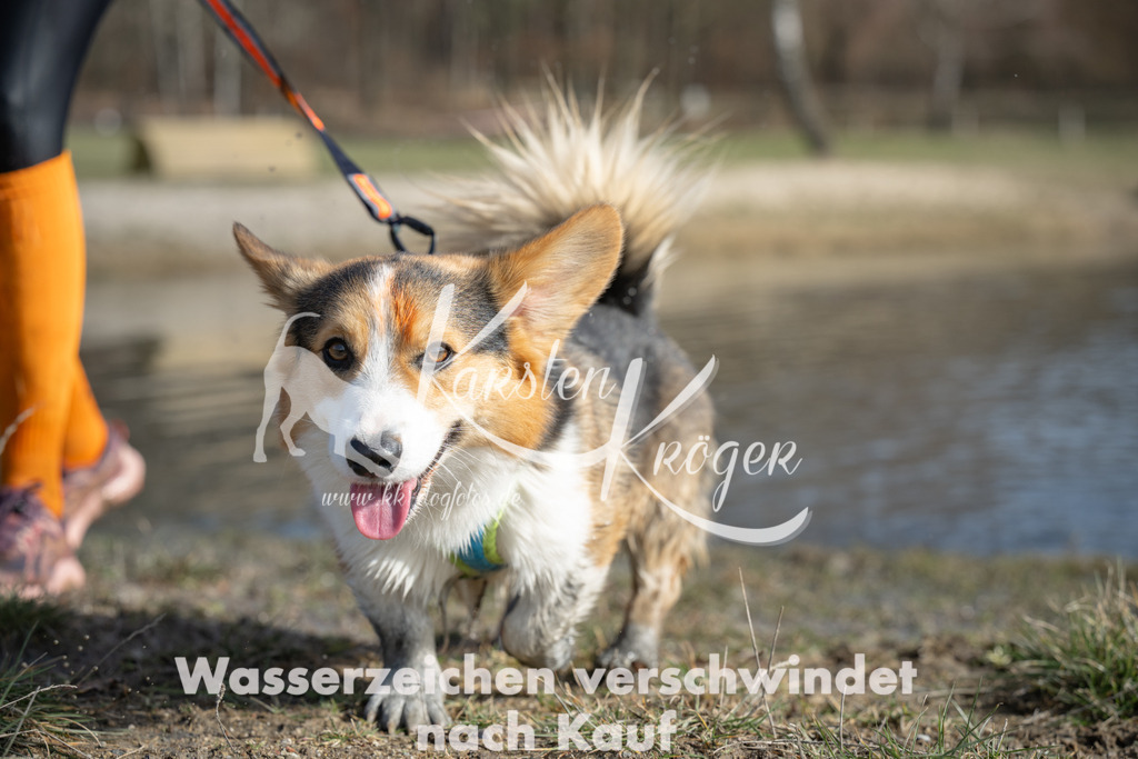 1313_ZZ95343 | kk-dogfotos