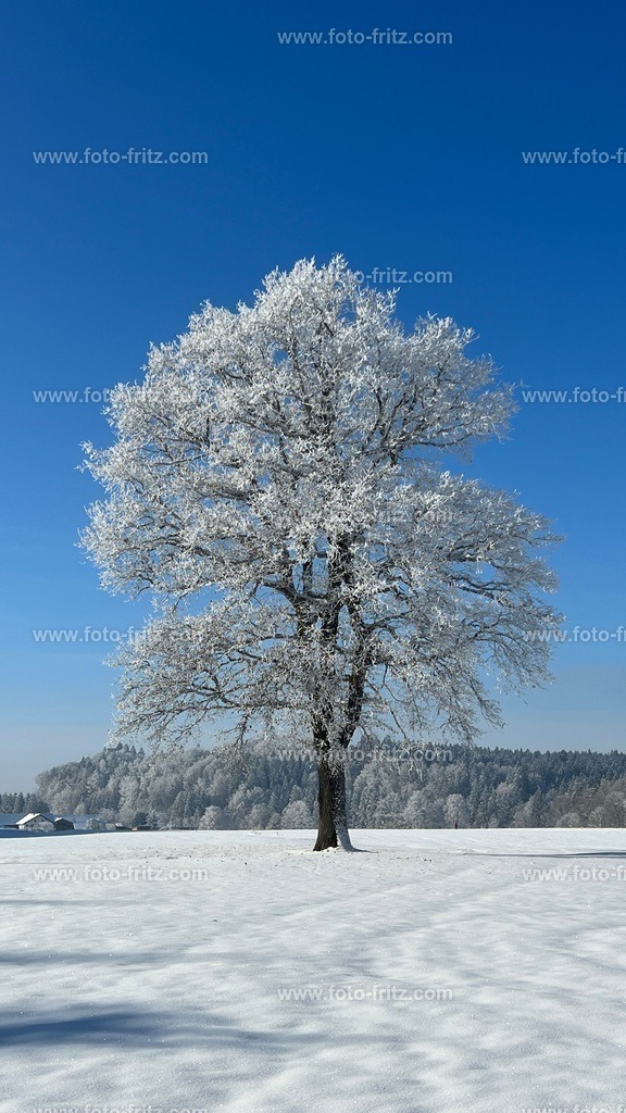 IMG_E6739 | www.foto-fritz.com - Realisiert mit Pictrs.com