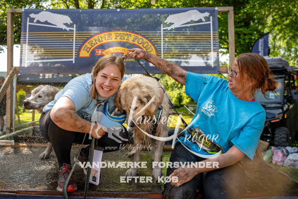 1341_ZZ91853 | kk-dogfotos