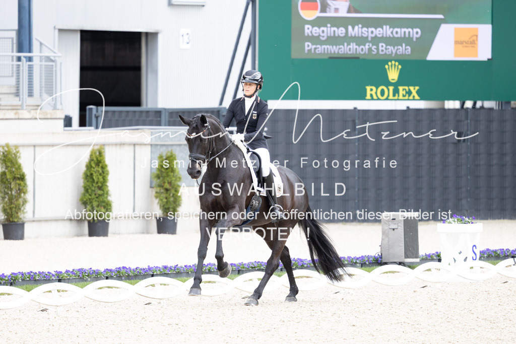 126A1109 | jasminmetznerfotografie