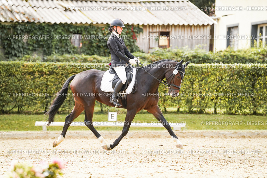 DSC00979 | Pferdegrafie