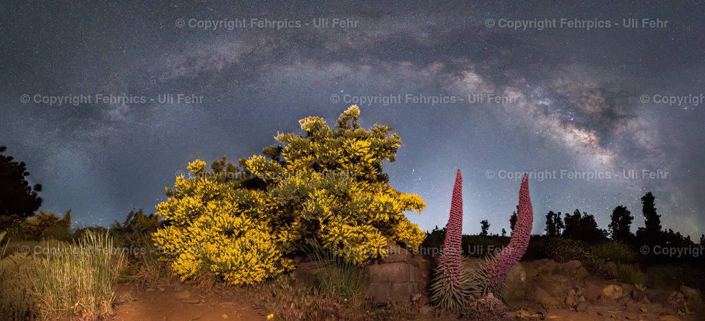 Tajinaste under the milky way - La Palma | Fehrpics - hochwertige Fotoprodukte rund um Landschaft, Natur, Sterne & Milchstraße. - Realisiert mit Pictrs.com