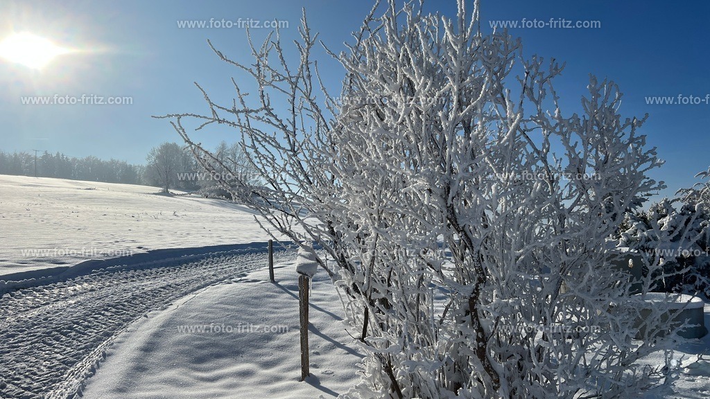 IMG_E6740 | www.foto-fritz.com - Realisiert mit Pictrs.com