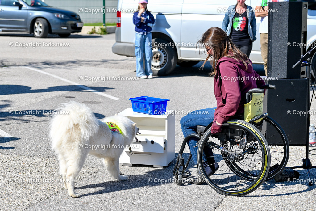 Lets Vespa togehter 2025_ Vespatreffen Neuhofen_ 27.04.2025-312 | 27.04.2025, Neuhofen, Kremsmuenster, AUT, Lets Vespa togehter 2025, Vespatreffen, im Bild Teilnehmer Vespatreffen, Motorsport Stadler©Copyright: Harald Dostal / fodo.media   Alle Bilder honorarfrei