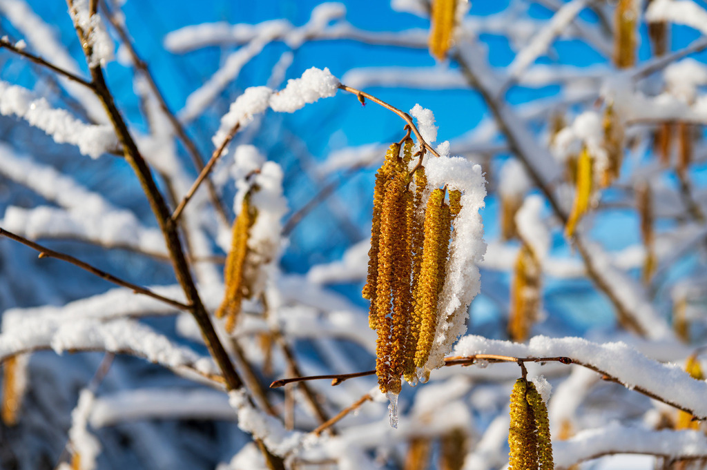 2023_03_11_MCP7151 | Hochwertig gedruckte Fotografien für die Wand, als Kalender und zum Verschenken. Hamburg & Norddeutschland und überall wo ich mit der Kamera unterwegs war.