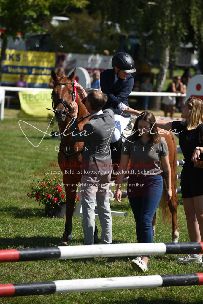 DSC_9646 | Pferde- und Turnierfotografie in Westsachsen. Pferdeportraits, Auftragszeichnungen und intuitive Kunst.
