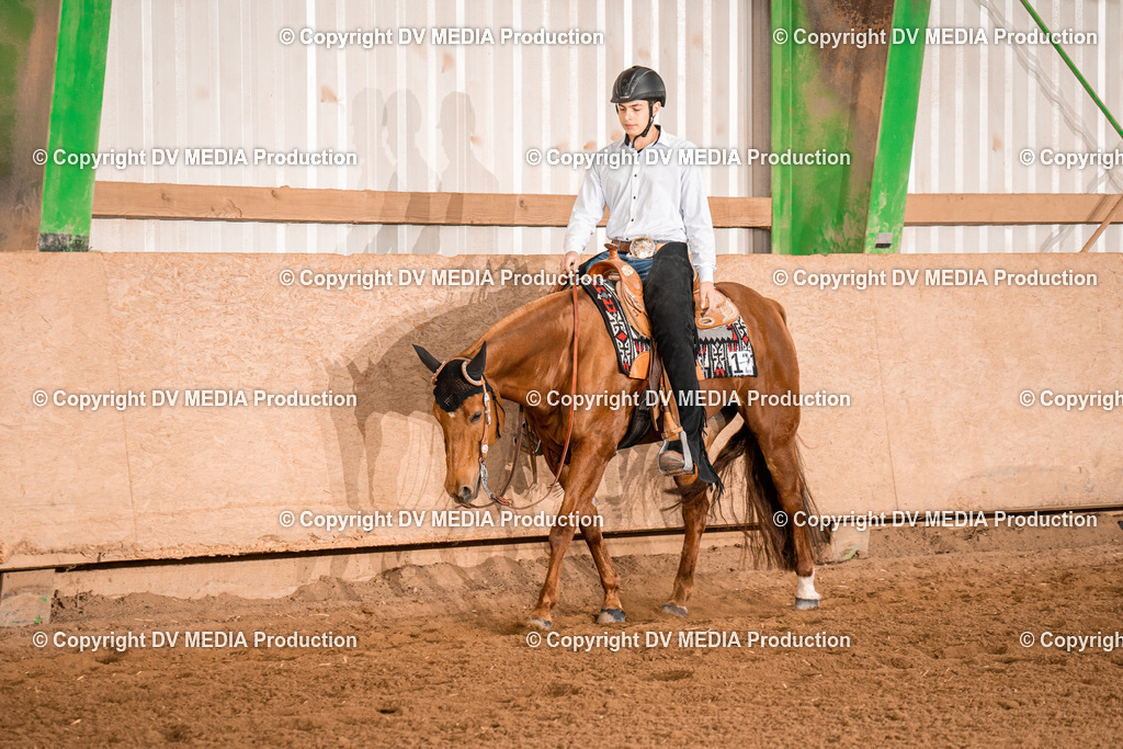 BA300810 | dv-media-shop - Realisiert mit Pictrs.com