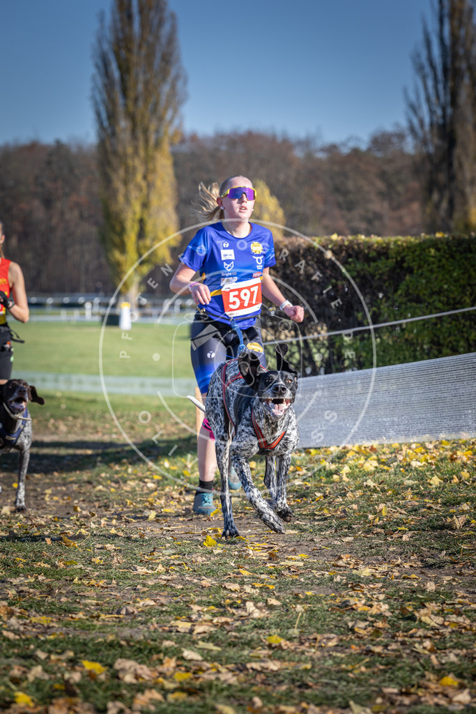 CaniXpix_DV3A9415 | Hundefotografie, Tierfotograf, Pfotenfotografie, Fotoshooting Hund, Hunde Portrait, Hundesport, Hundeportraits, Heideshooting, Hunde, Sportfotograf, Hundefotograf, Turnierhundsport, THS,  - Realisiert mit Pictrs.com