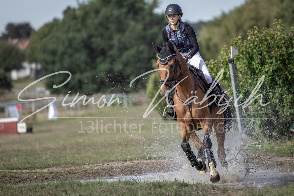 20250907-_3LI9319 | Tierfotografie Pferde, Hunde, Katzen, Haustiere.
Turnierfotografie Reitturniere, Reiten, Springreiten, Dressur in Hanau, dem Main-Kinzig-Kreis und dem Rhein-Main- Gebiet um Frankfurt