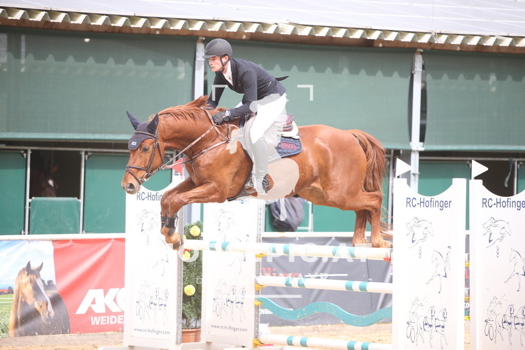 PP017722 | Willkommen bei Brunnmayr - Design & Fotografie – Ihrem Spezialisten für Reitturniere und Pferdeveranstaltungen in Oberösterreich, Salzburg und Bayern! Seit über 17 Jahren sind wir leidenschaftlich dabei.