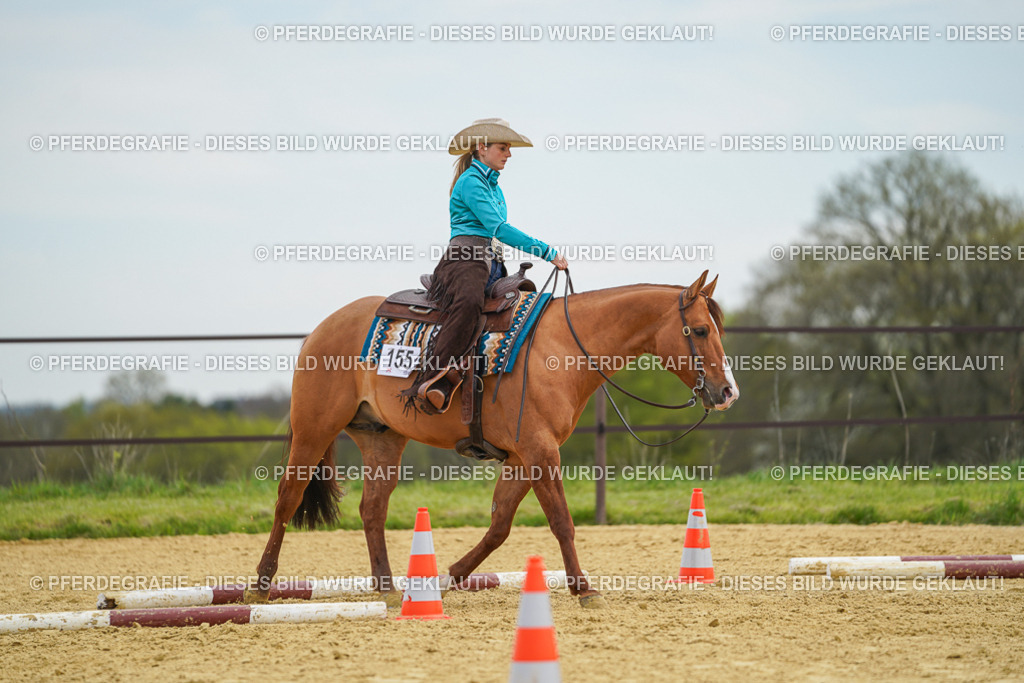 DSC03095 | Pferdegrafie