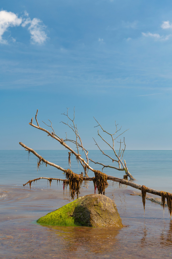 2025_04_16_TRAVEMUENDE_MCP8033 | Hochwertig gedruckte Fotografien für die Wand, als Kalender und zum Verschenken. Hamburg & Norddeutschland und überall wo ich mit der Kamera unterwegs war.