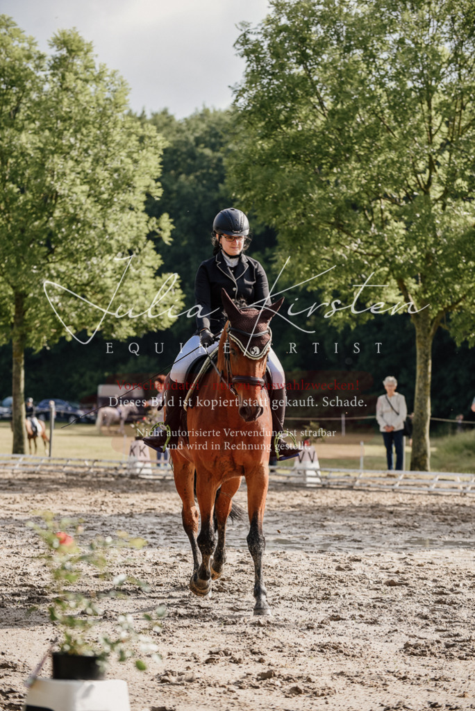 DSC_8472 | Pferde- und Turnierfotografie in Westsachsen. Pferdeportraits, Auftragszeichnungen und intuitive Kunst.