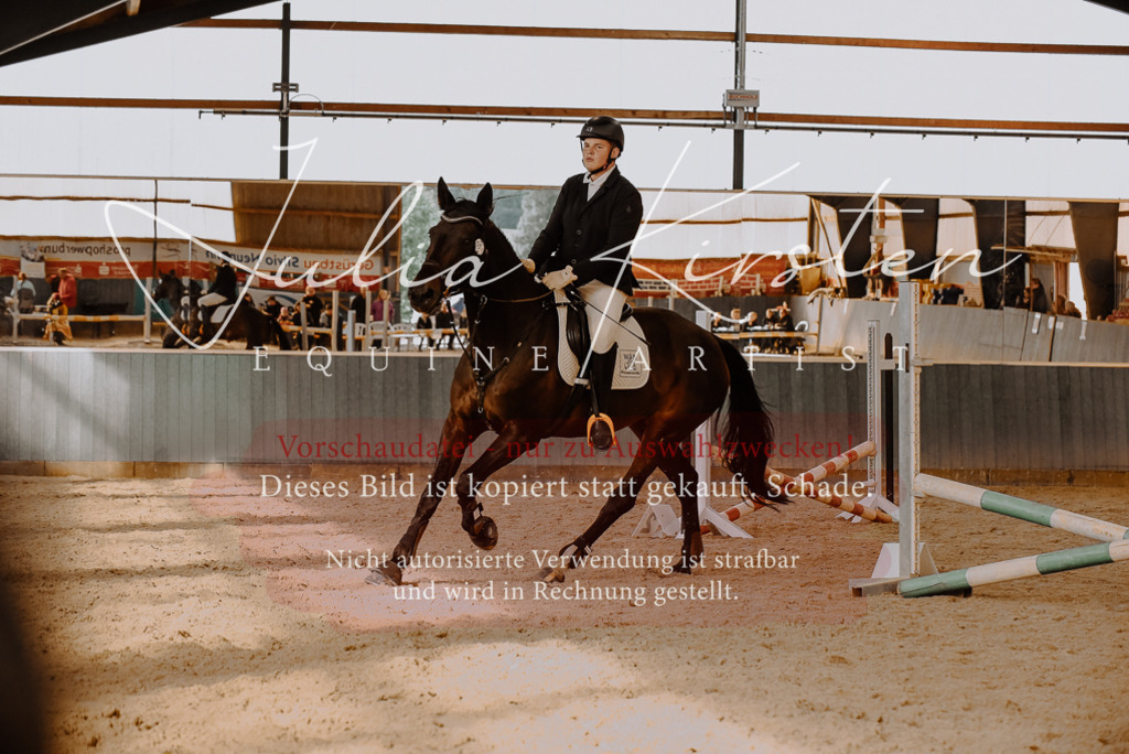 DSC_7435 | Pferde- und Turnierfotografie in Westsachsen. Pferdeportraits, Auftragszeichnungen und intuitive Kunst.