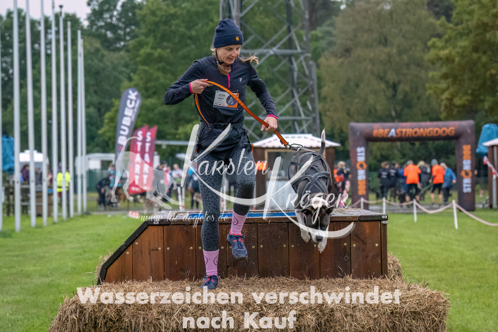 1200--15 | kk-dogfotos