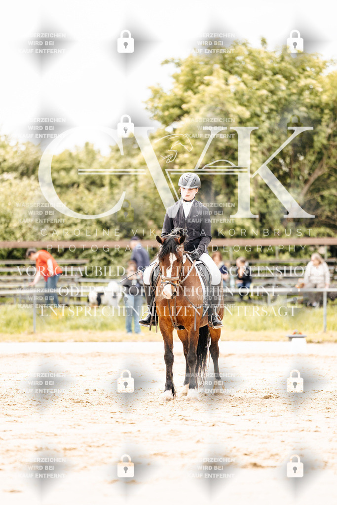 CK902897 | Turnierfotografie Pferdefotografie Trier Rheinland-Pfalz Pferdesport Reitsport Tierfotografie Sportfotografie Pferdevideo Pferdevideografie Equestrianvideography equestrianphotography  - Realisiert mit Pictrs.com