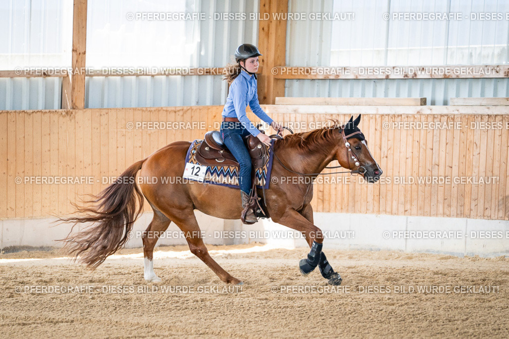 DSC03071 | Pferdegrafie