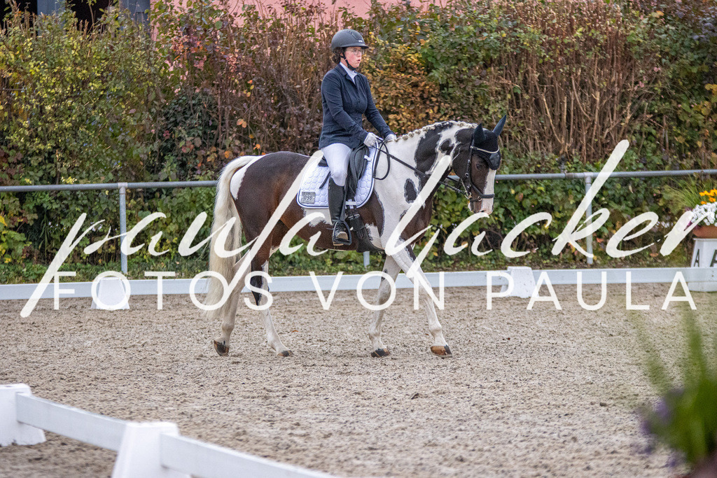 IMG_2484 | Erleben Sie dynamische Sport- und emotionale Tierfotografie in Süddeutschland mit Fotos von Paula. Spezialisiert auf Pferde- und Hundefotografie sowie Sportevents. Kontaktieren Sie mich für einzigartige und ausdrucksstarke Bilder Ihrer besonderen Momente.