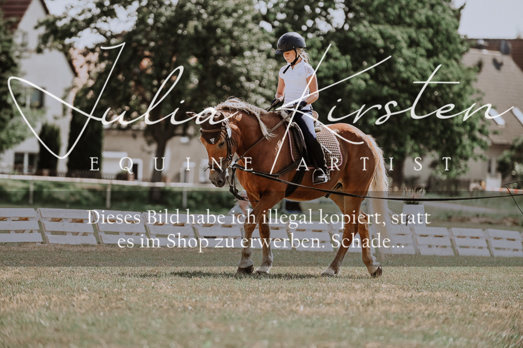 DSC_7830 | Pferde- und Turnierfotografie in Westsachsen. Pferdeportraits, Auftragszeichnungen und intuitive Kunst.