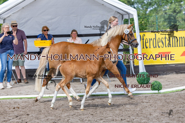 _MG_7220 | mandyhollmannphotographie