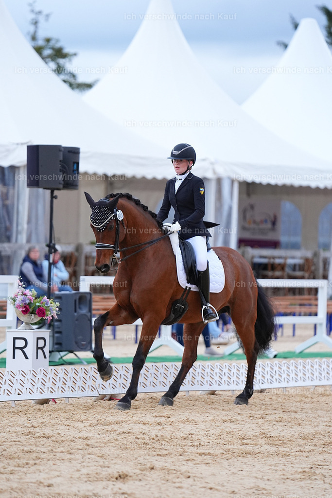 04_2-006-Dressur M__ -Marixx-3084 | working equitationturnier fotograf videograf stoibphotography marixx film working equitation deutschland reitsport turnierfotografie eventfotografie equestrian events