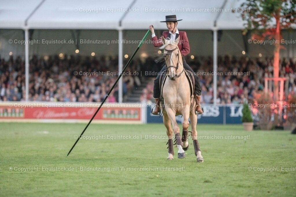 20230526_Pferdenacht_0710 | equistock