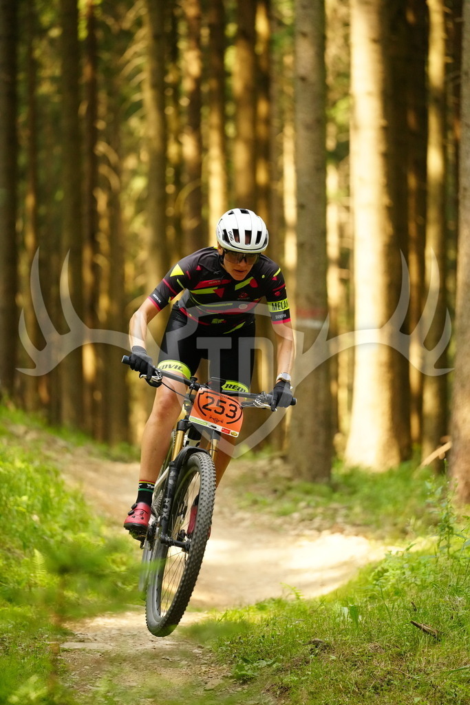FC103125 | Fotogalerie der Treibjagd im Dunkelwald - Dein MTB Etappenrennen im Erzgebirge - Realisiert mit Pictrs.com