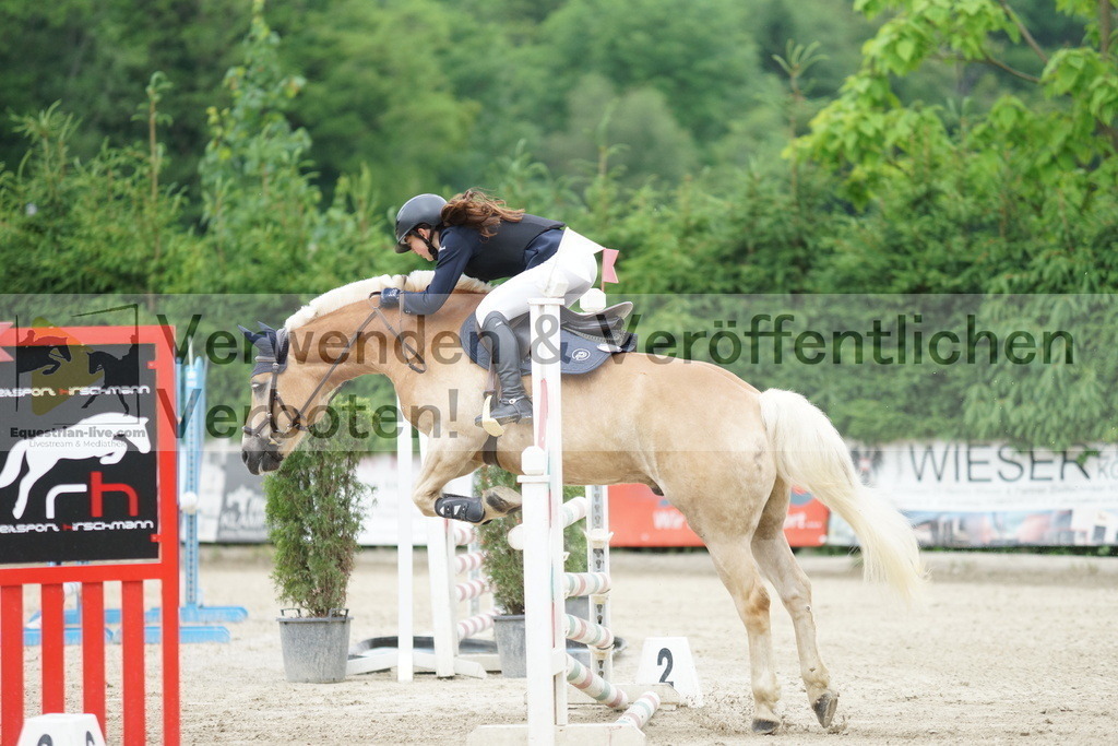 DSC07636 | equestrian-live-com