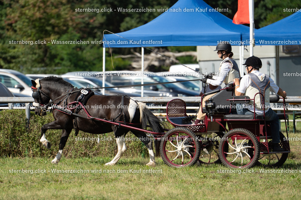 2026-08-29_14-16-45_sternberg.click_WBO-Diera | sternberg.click - Realisiert mit Pictrs.com