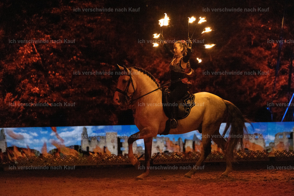 FHClassics-368 | working equitationturnier fotograf videograf stoibphotography marixx film working equitation deutschland reitsport turnierfotografie eventfotografie equestrian events