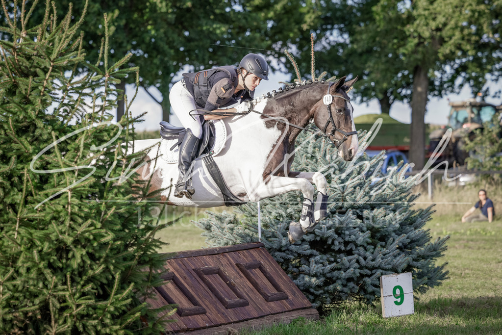 20250906-_3LI7596 | Tierfotografie Pferde, Hunde, Katzen, Haustiere.
Turnierfotografie Reitturniere, Reiten, Springreiten, Dressur in Hanau, dem Main-Kinzig-Kreis und dem Rhein-Main- Gebiet um Frankfurt