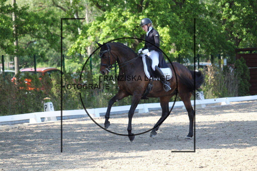 IMG_4998 | franziskalange - Realisiert mit Pictrs.com