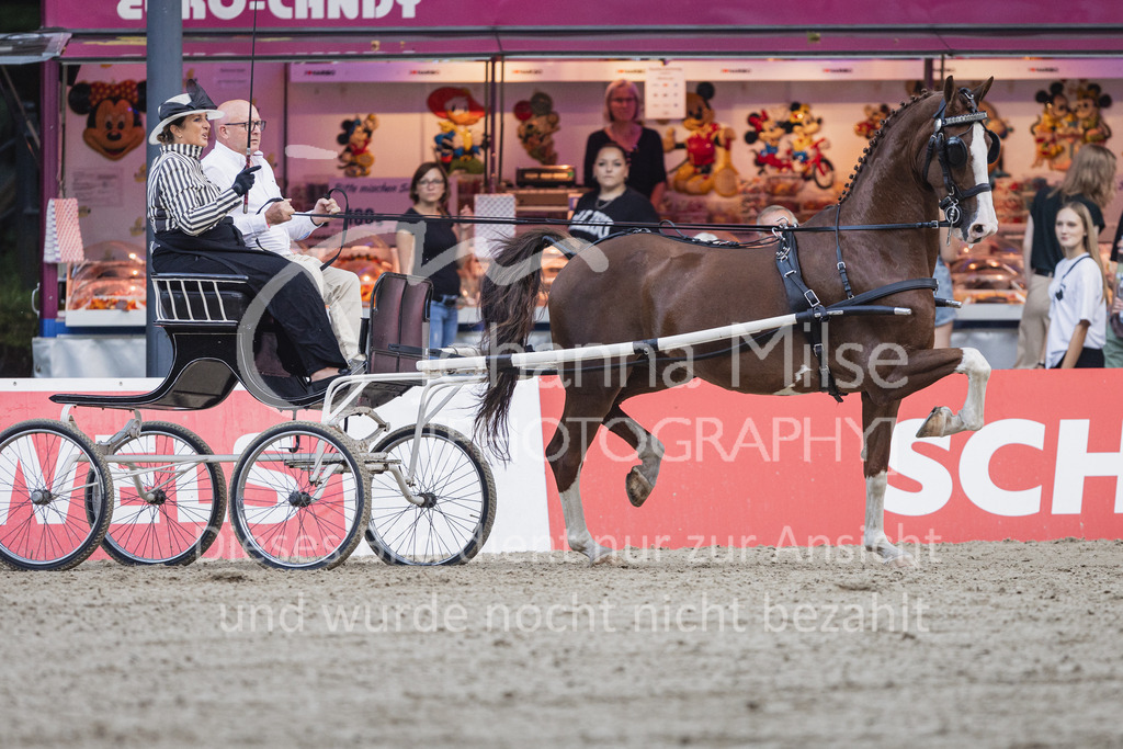 230909_OWLCh_Championat-614 | Deine schönsten Turniermomente als professionelle Fotos! Entdecke hochwertige Pferdesport-Fotografie im Online-Shop. Jetzt Fotos finden & bestellen!