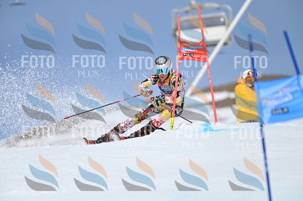 BGV_1048 | holidayphoto