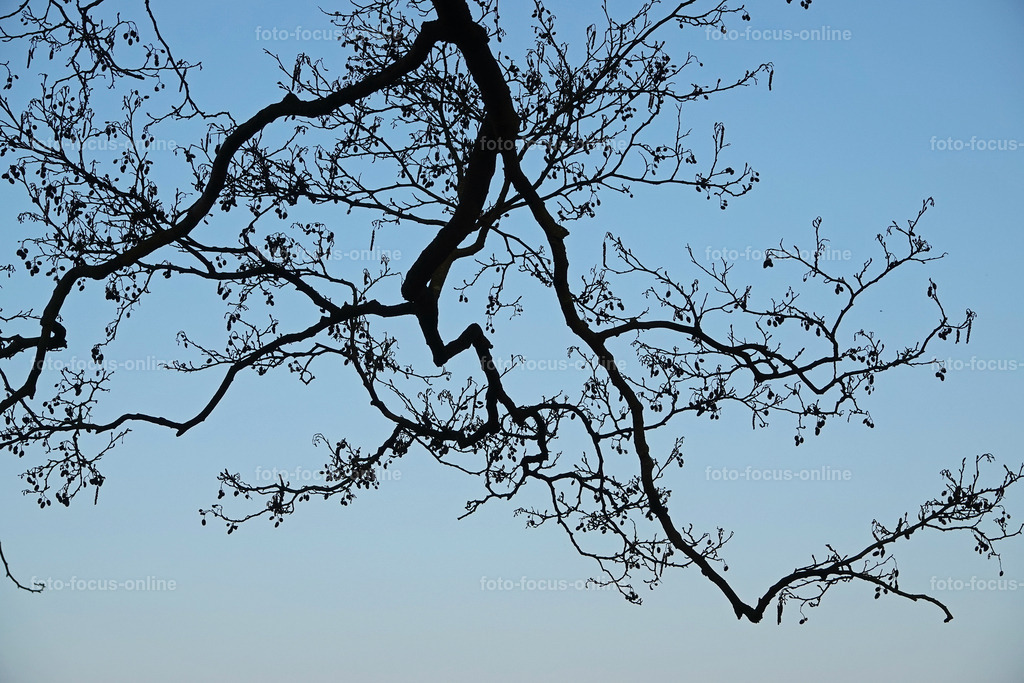 Smiling Lake_6 | Ratzeburg Lake late afternoon