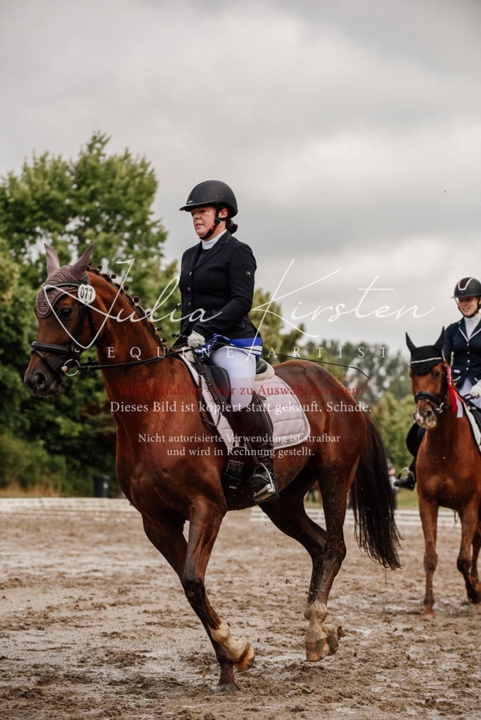 DSC_9399 | Pferde- und Turnierfotografie in Westsachsen. Pferdeportraits, Auftragszeichnungen und intuitive Kunst.