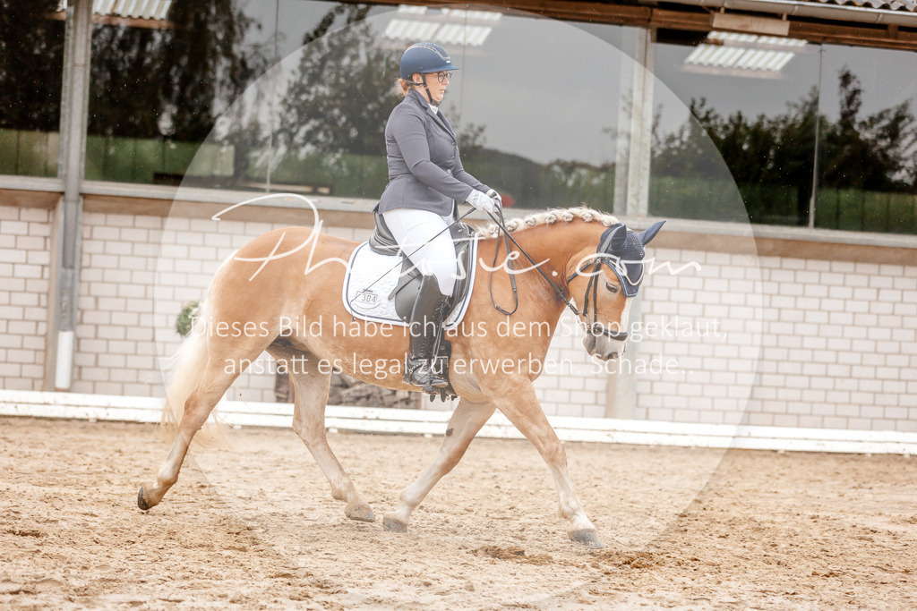 3I6A5978 | Stimmungsvolle Portraits und Reitsportfotografie im Ruhrgebiet und im Münsterland.

Pferdefotografie, Hundefotografie, Tierfotografie, Reportagen, Portraits von Tier und Mensch, Turnierfotografie in Bochum, Recklinghausen, Marl, Haltern am See, Dülmen.. - Realisiert mit Pictrs.com