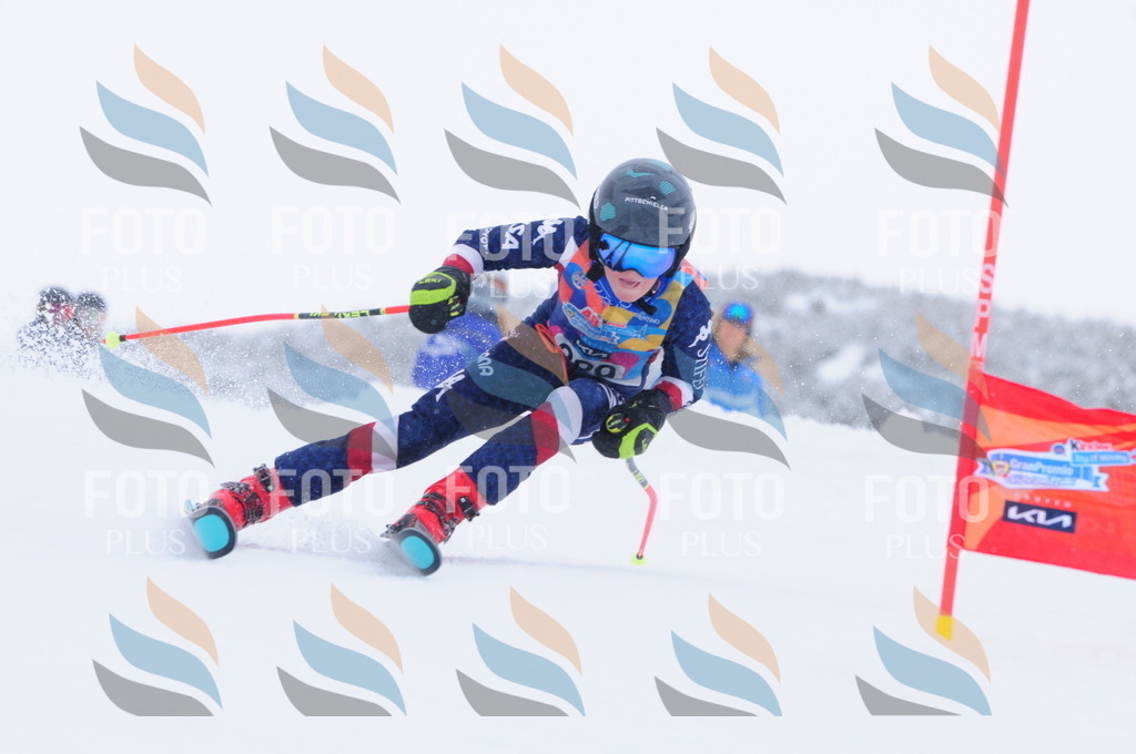 C4131 | holidayphoto