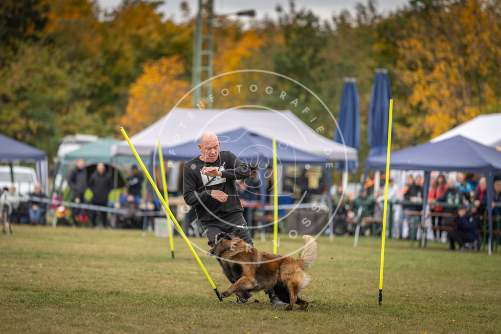 Pfotenfotografie_DV3A6295 | Hundefotografie, Tierfotograf, Pfotenfotografie, Fotoshooting Hund, Hunde Portrait, Hundesport, Hundeportraits, Heideshooting, Hunde, Sportfotograf, Hundefotograf, Turnierhundsport, THS,  - Realisiert mit Pictrs.com