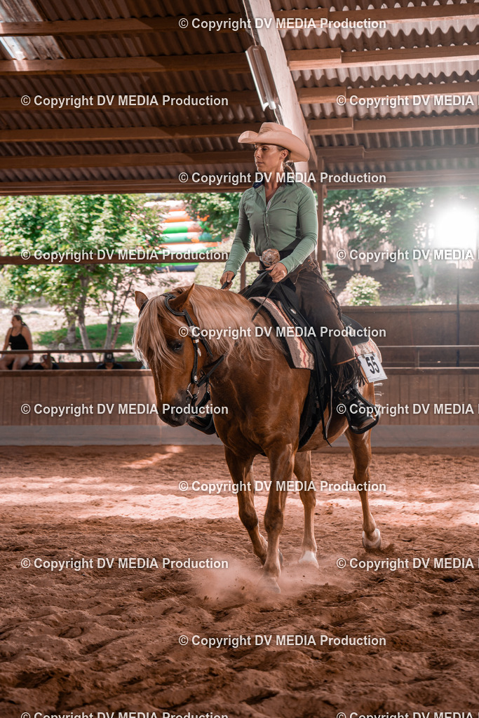 NE100613 | dv-media-shop - Realisiert mit Pictrs.com