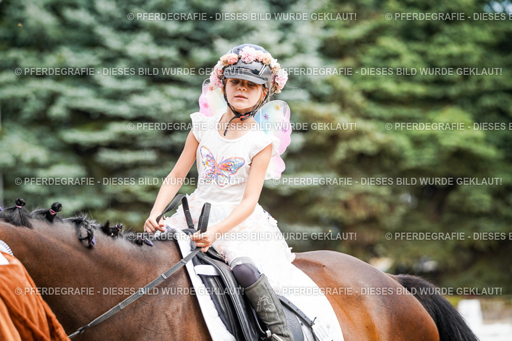 DSC03234 | Pferdegrafie