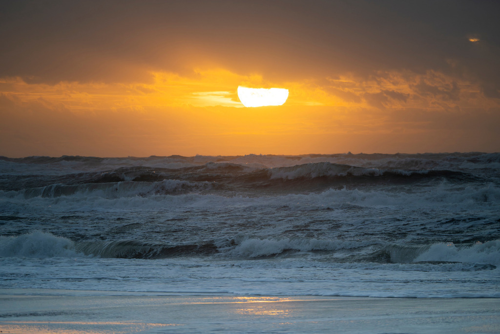 251028_Texel_3483_mr | Entdecke exklusive Fotografie im muebri Shop: Stimmungsvolle Motive  Naturaufnahmen und mehr. Jetzt hochwertige Wandbilder und Fotoabzüge online kaufen! - Realisiert mit Pictrs.com