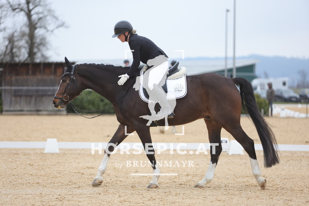 0P6A4593 | Willkommen bei Brunnmayr - Design & Fotografie – Ihrem Spezialisten für Reitturniere und Pferdeveranstaltungen in Oberösterreich, Salzburg und Bayern! Seit über 17 Jahren sind wir leidenschaftlich dabei.