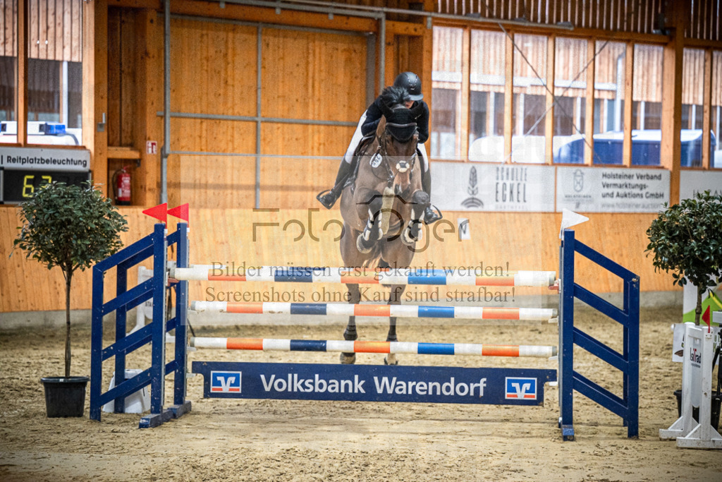 DOS_1452 | Entdecke hochwertige Reitturnierfotos von Foto Oger. Professionell, emotional und authentisch – jetzt Lieblingsmomente im Shop bestellen.Deutschlandweite Turnierfotografie. - Realisiert mit Pictrs.com